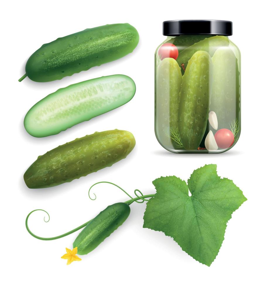 Food Cucumbers Realistic Collection vector