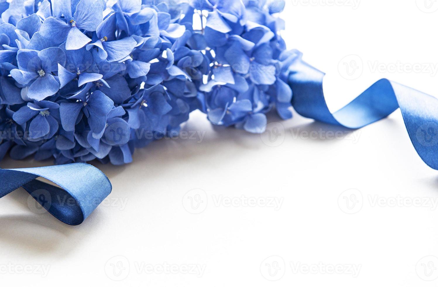 Blue hydrangea flowers photo