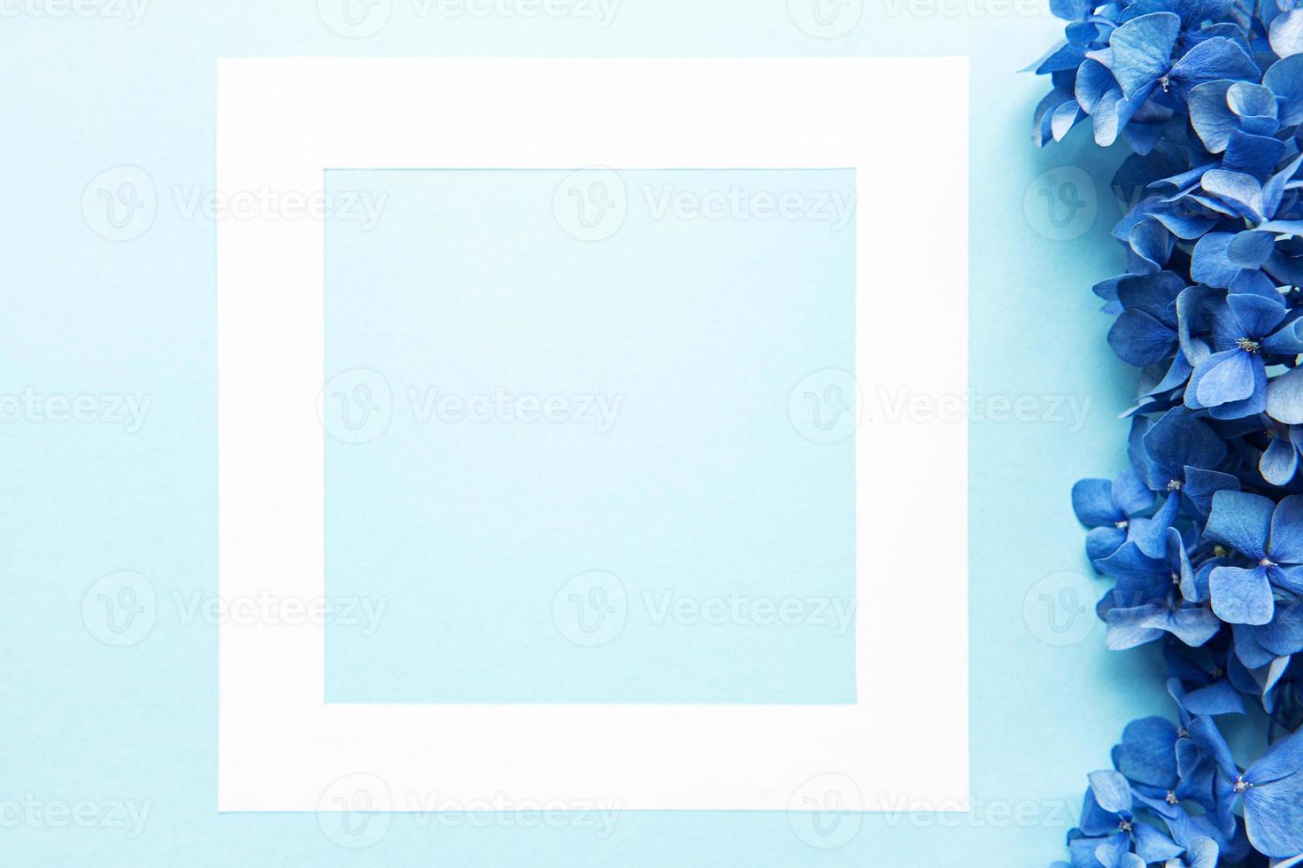 White frame and blue hydrangea flowers photo