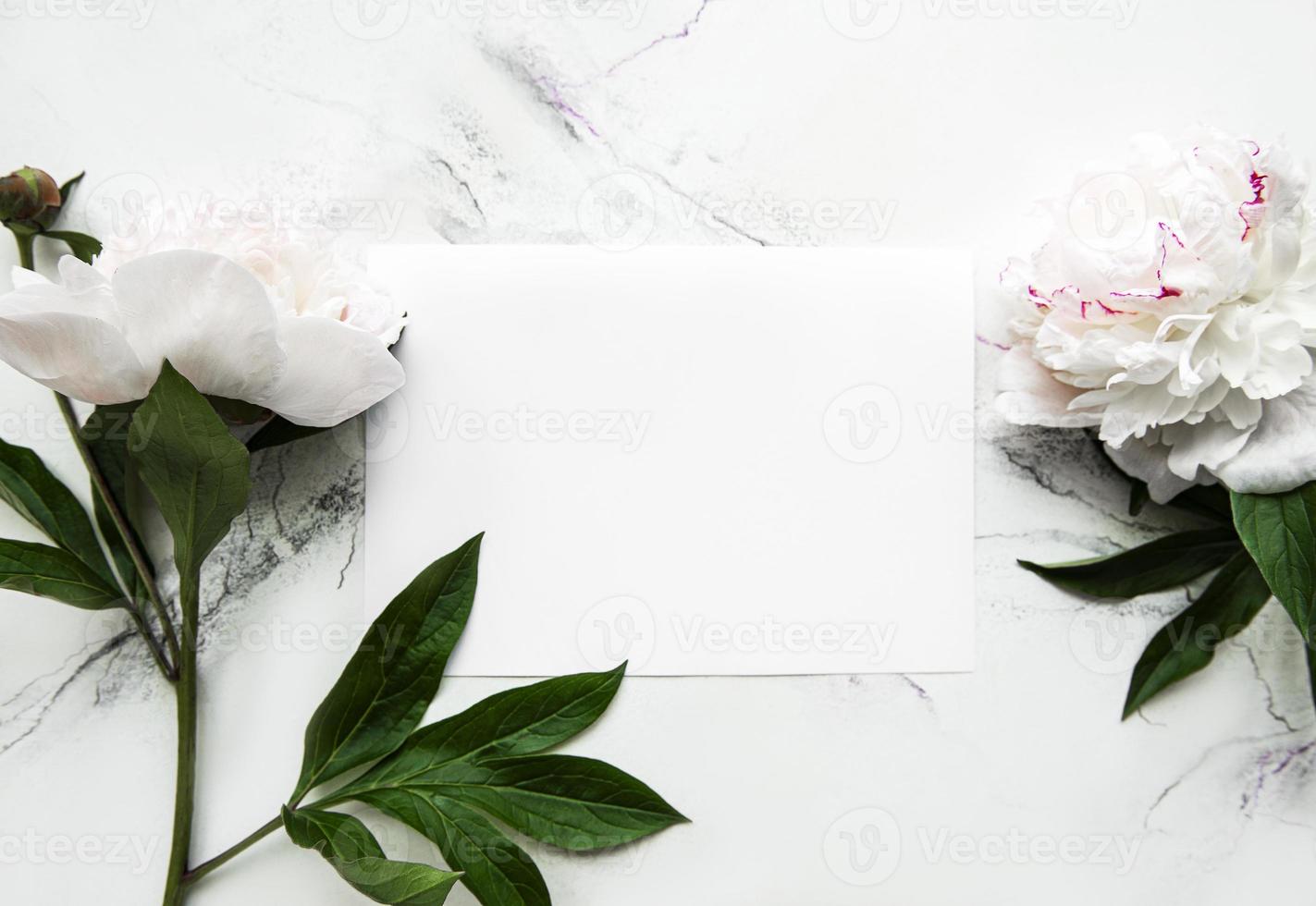 Pink peonies with empty card on white  background photo