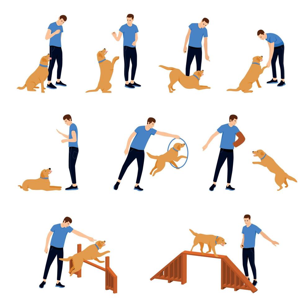 conjunto de iconos de entrenamiento de perros vector