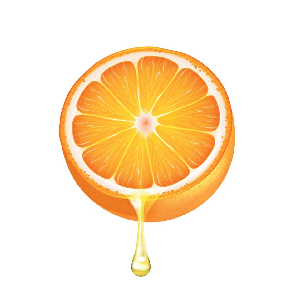 ilustración naranja realista vector