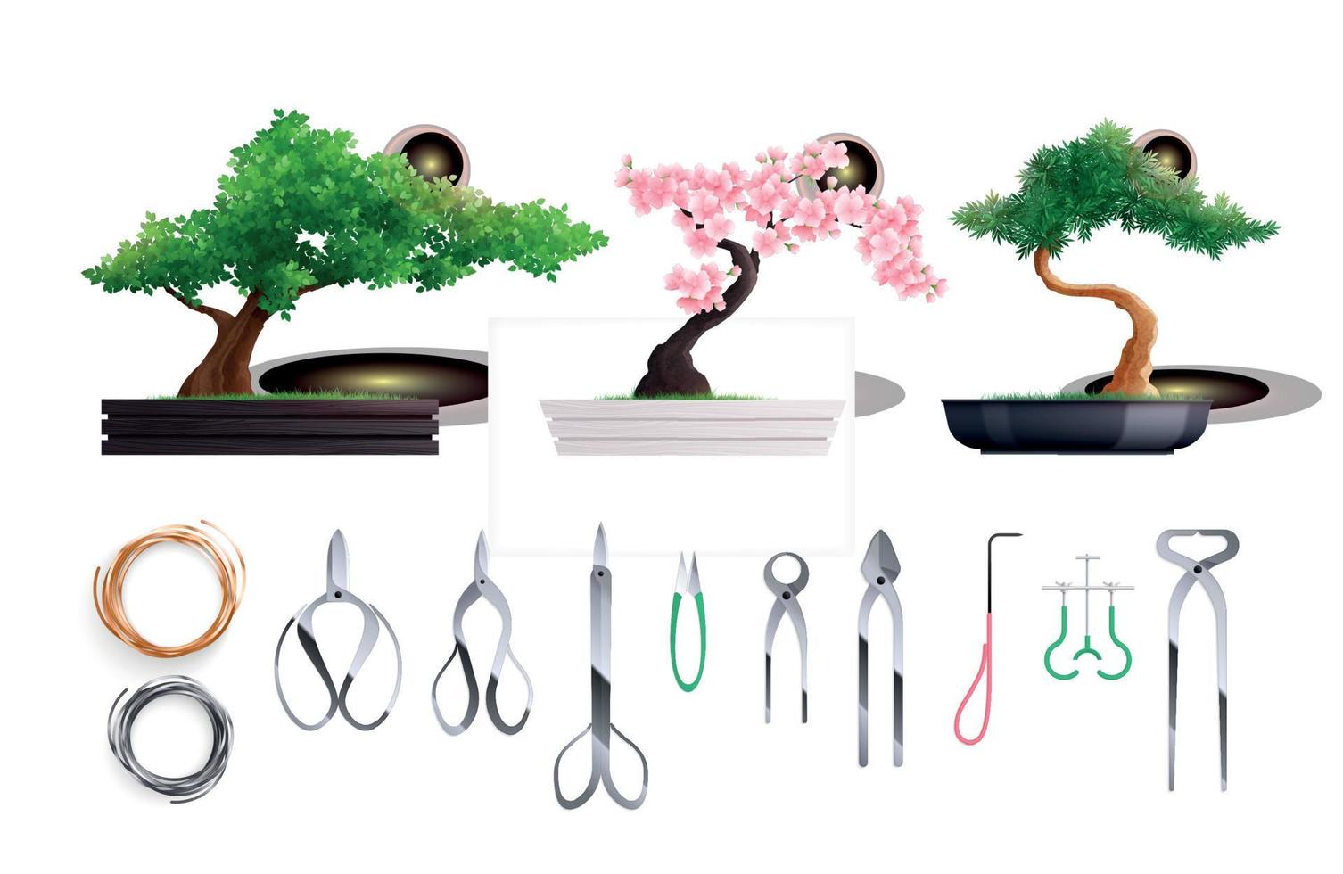 conjunto de cultivo de bonsai vector