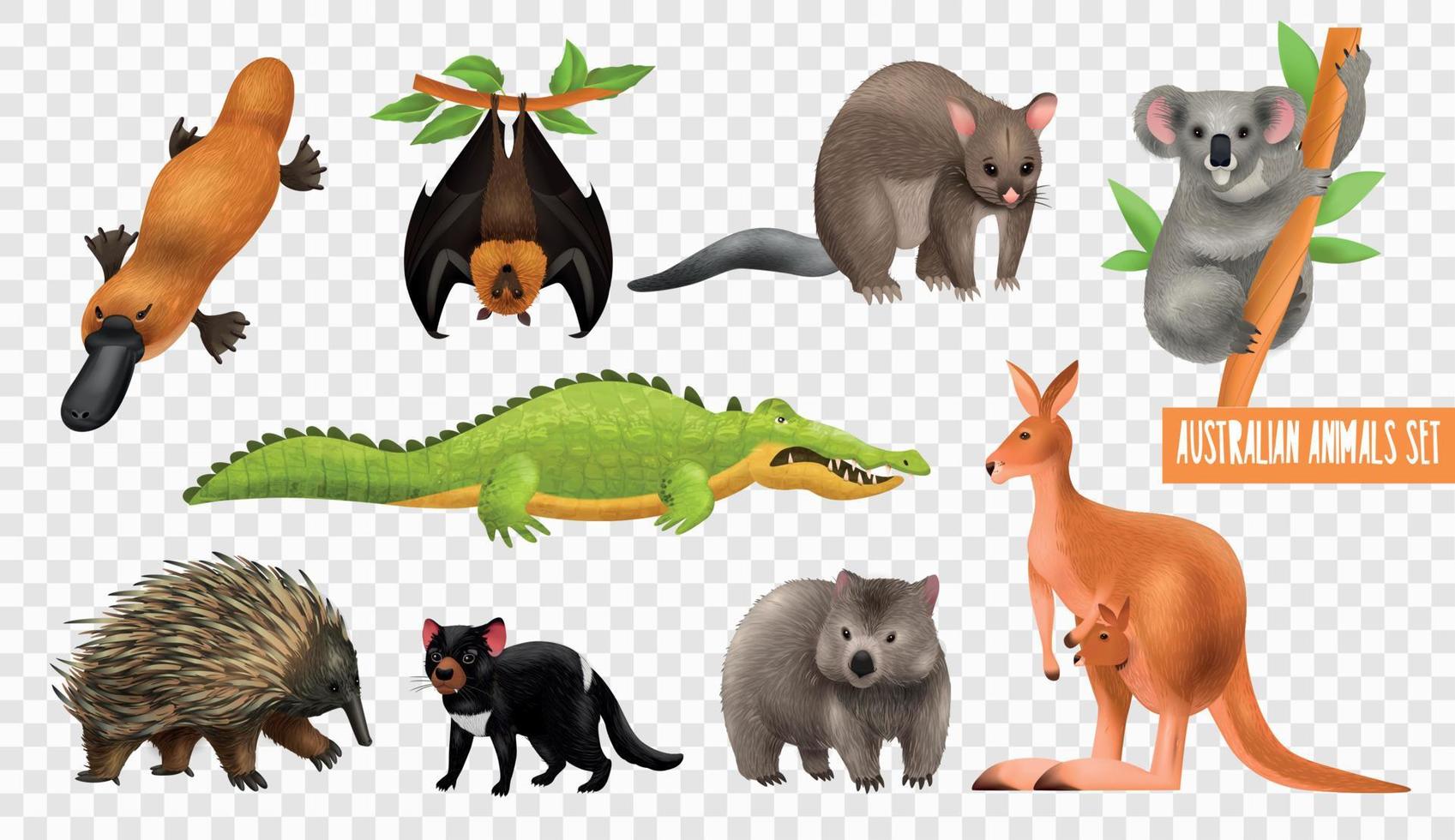 conjunto transparente de animales australianos vector