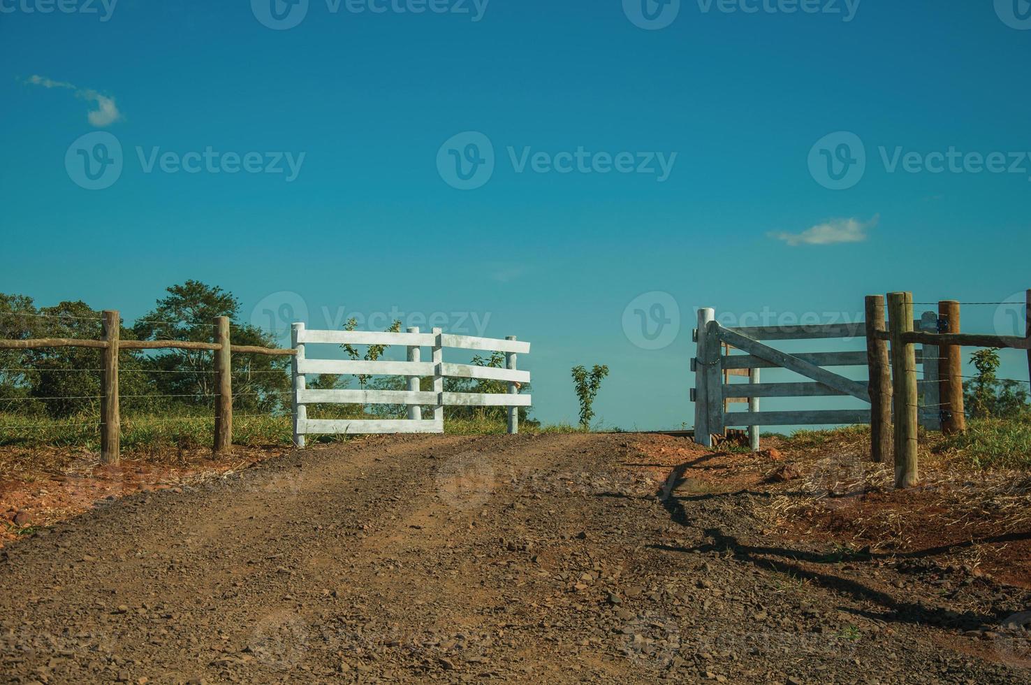 Pardinho, Brazil - May 31, 2018. Wooden farm gate and cattle guard in the middle of barbed wire fence, in a sunny day near Pardinho. A small rural village in the countryside of Sao Paulo State. photo