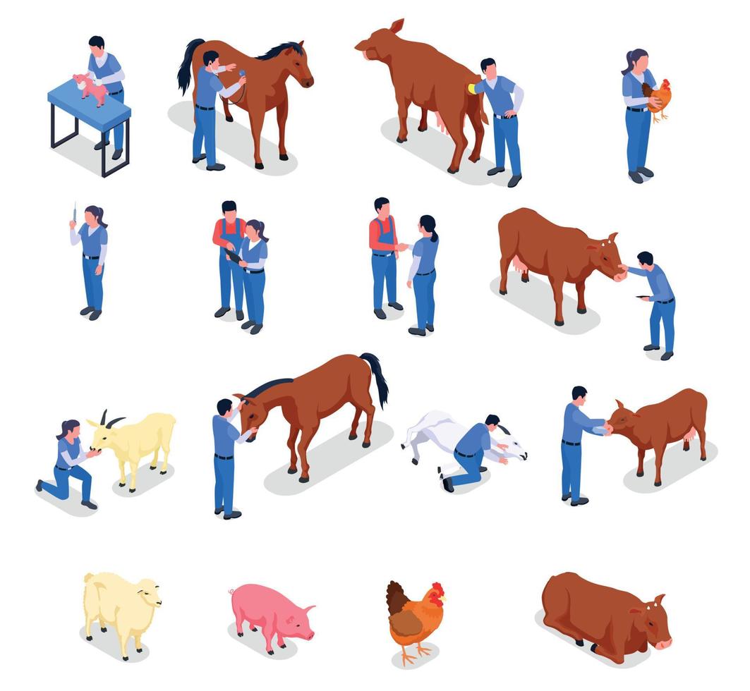 animales de granja, veterinario, coloreado, isométrico, icono, conjunto vector