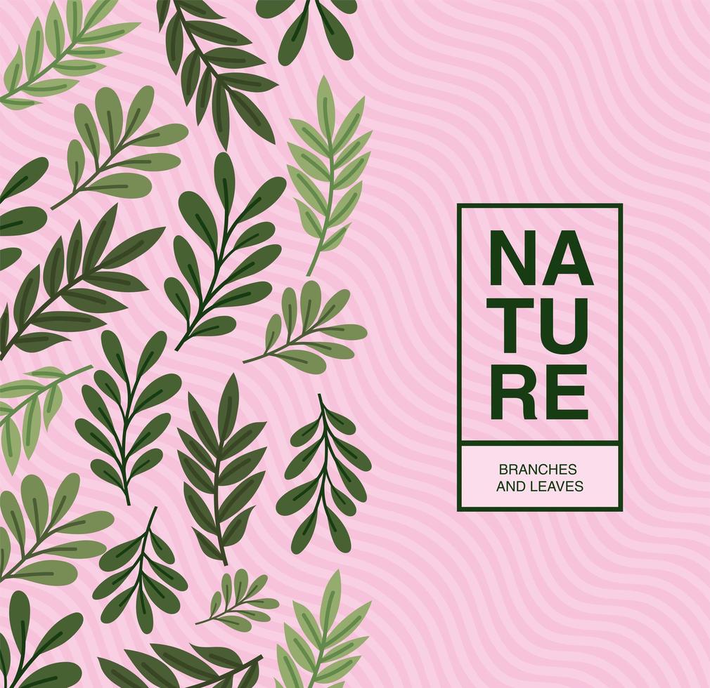 cartel de la naturaleza con hojas vector