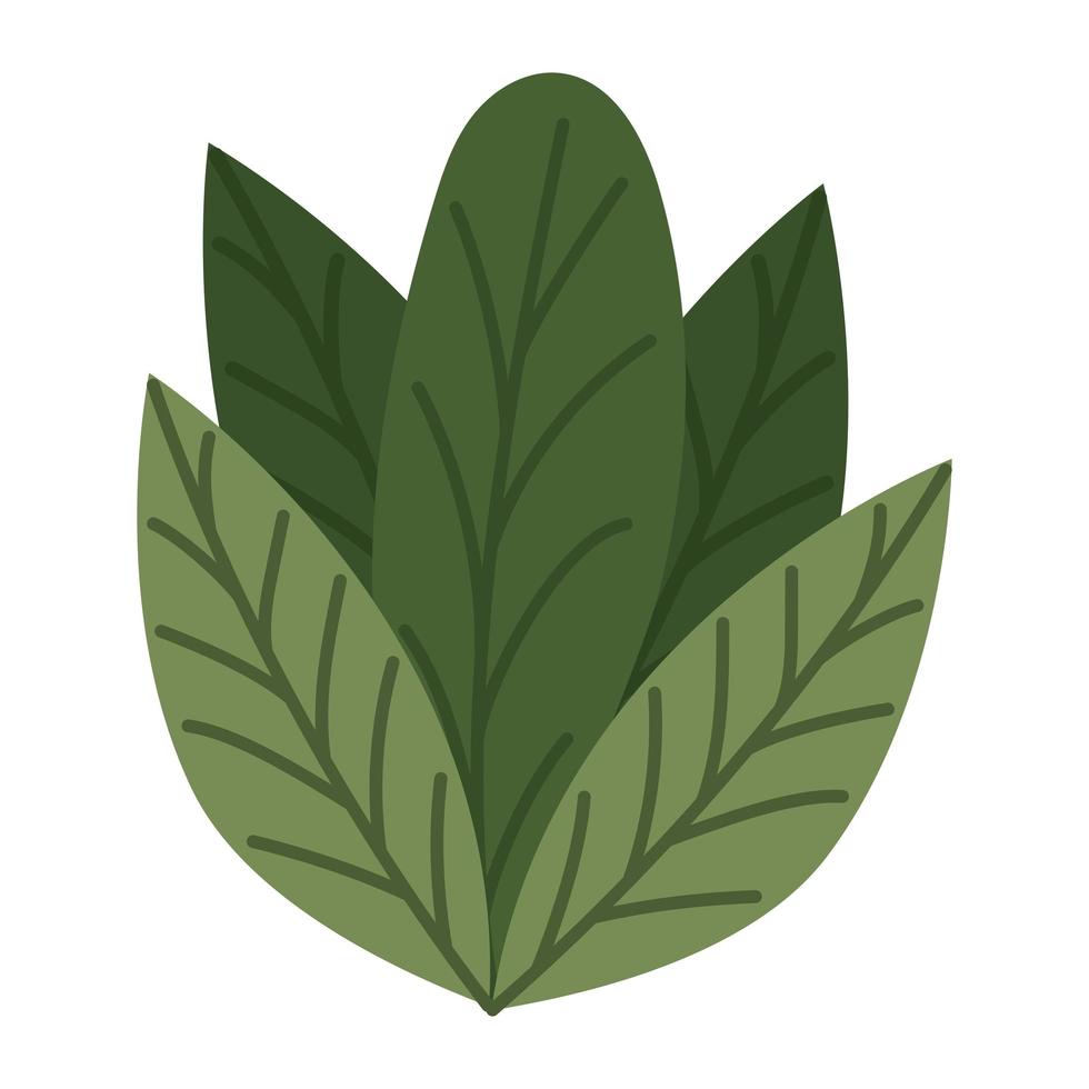 bonito diseño de hojas vector