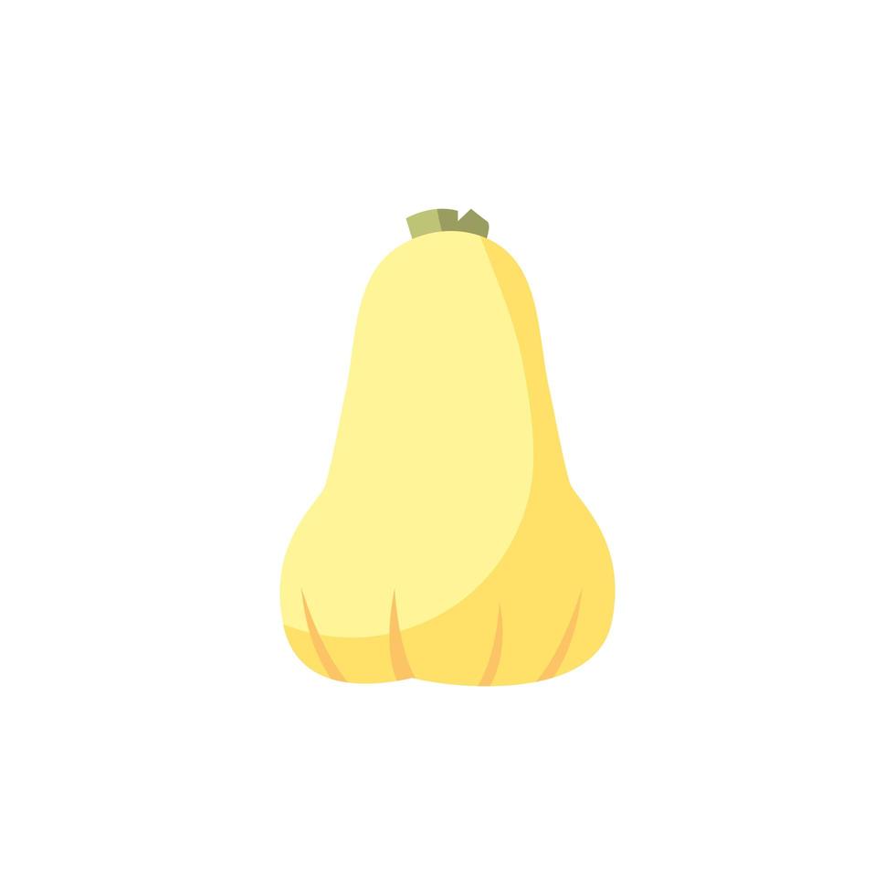 Isolated pumpkin vegetable vector design