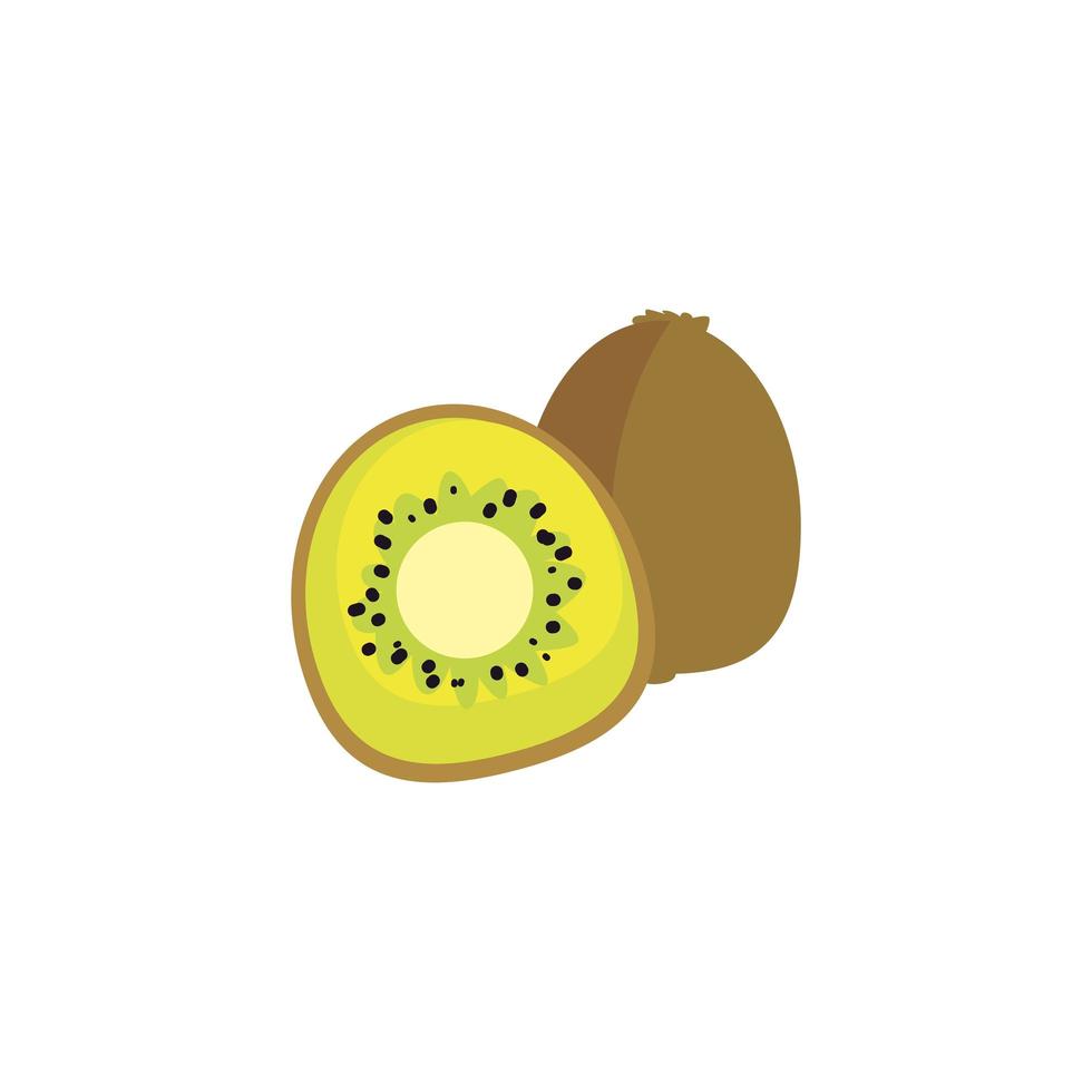 Isolated kiwi fruit vector design