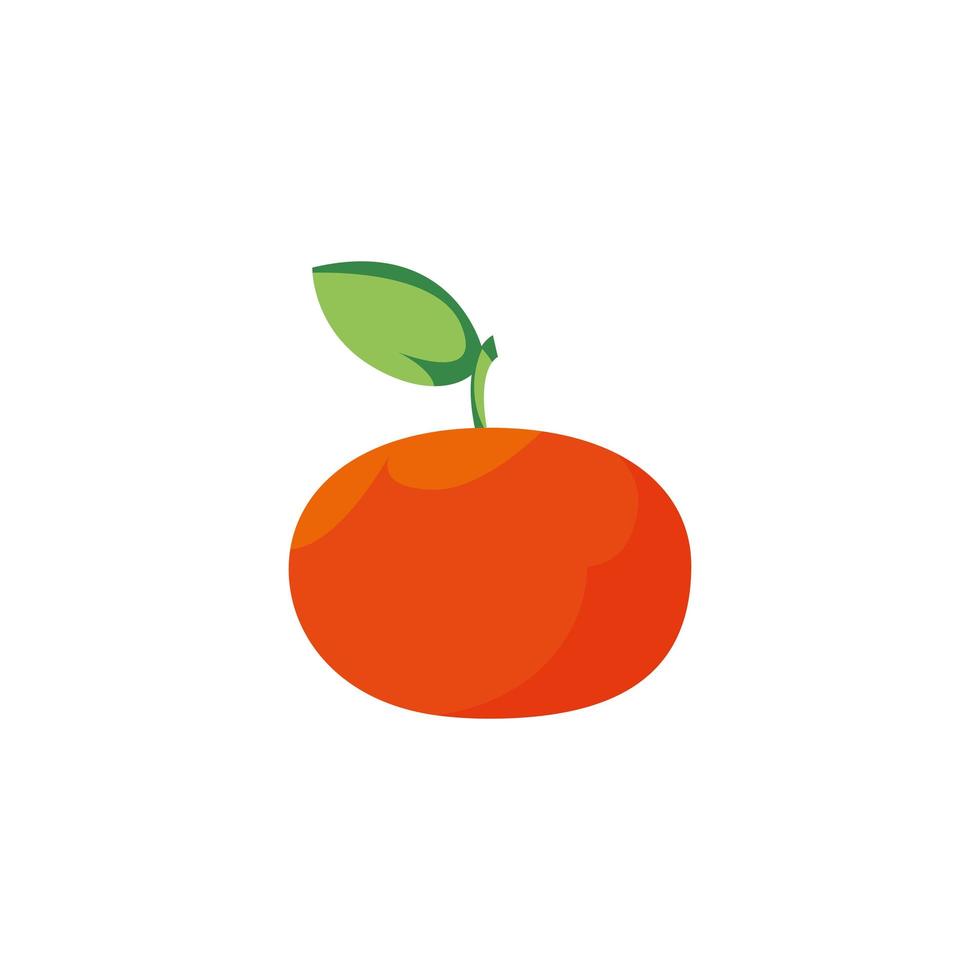 Diseño de vector de fruta mandarina aislada