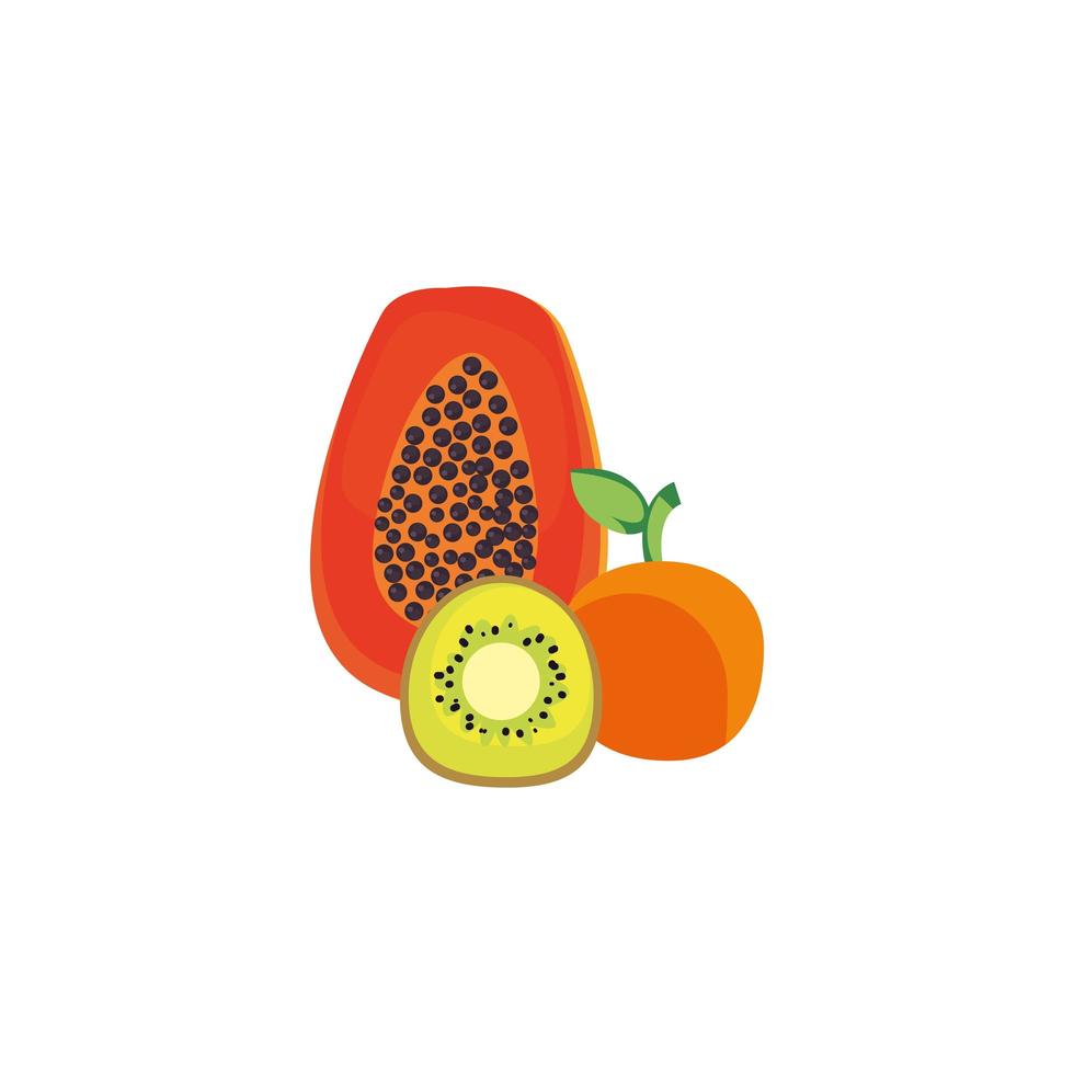 Papaya aislada mandarina y kiwi diseño vectorial vector