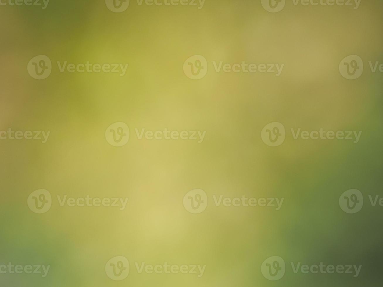 abstract green blur background photo