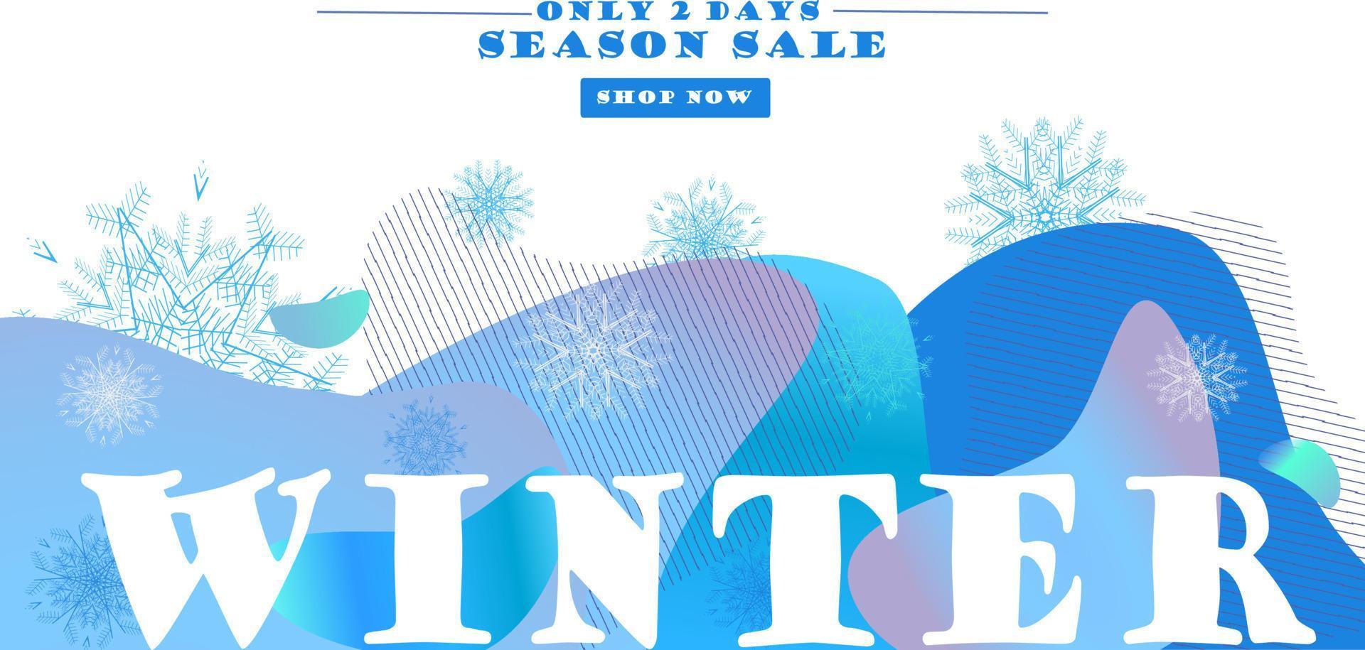 Winter sale banner with snowflakes vector