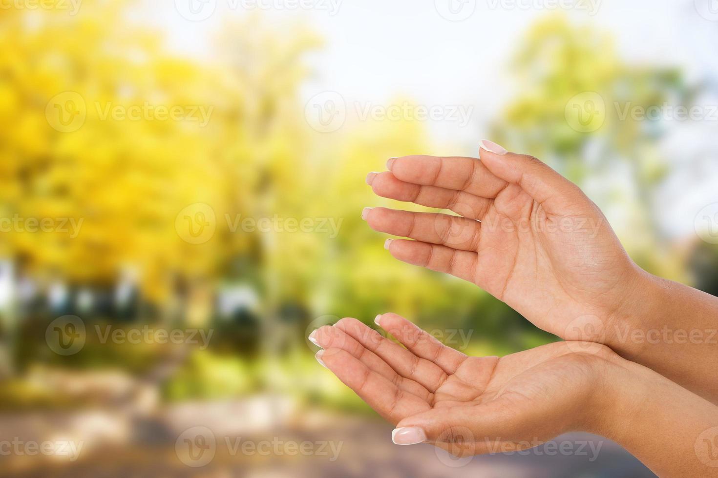 black Woman's hand two palm up. handbreadth isolated on blurred park background. Front view. Mock up. Copy space photo