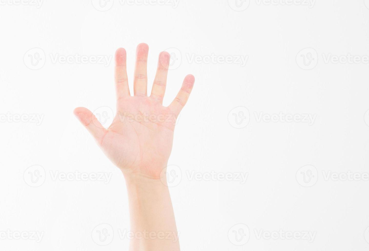 hand isolated on white.Voting hand. Mock up. Copy space. Template. Blank. photo