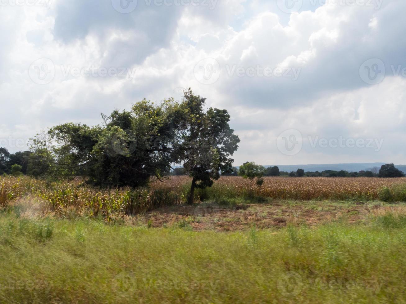 prados y campos en el cielo hay nubes foto