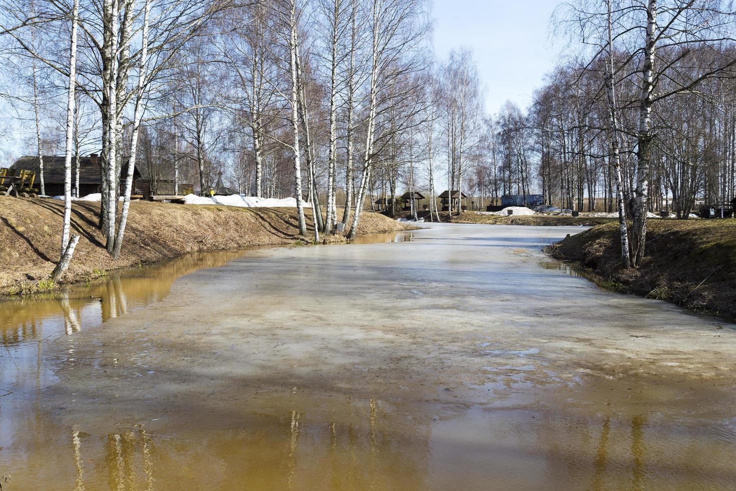 The flood in the countryside on a spring day. photo