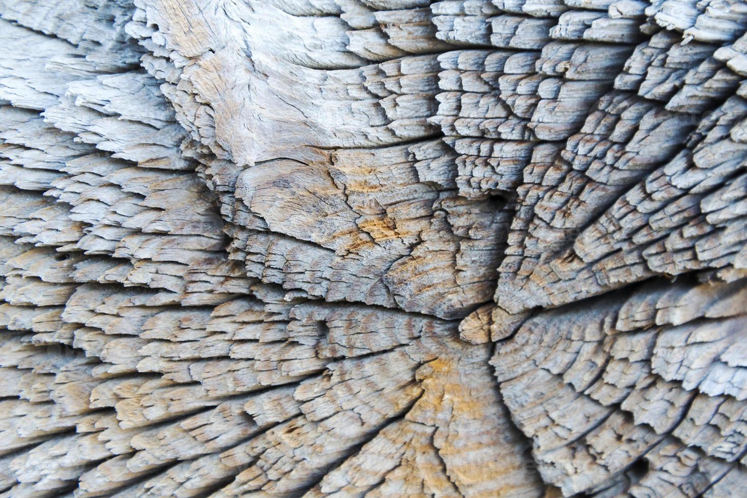 The cracked wooden stump-like texture. photo