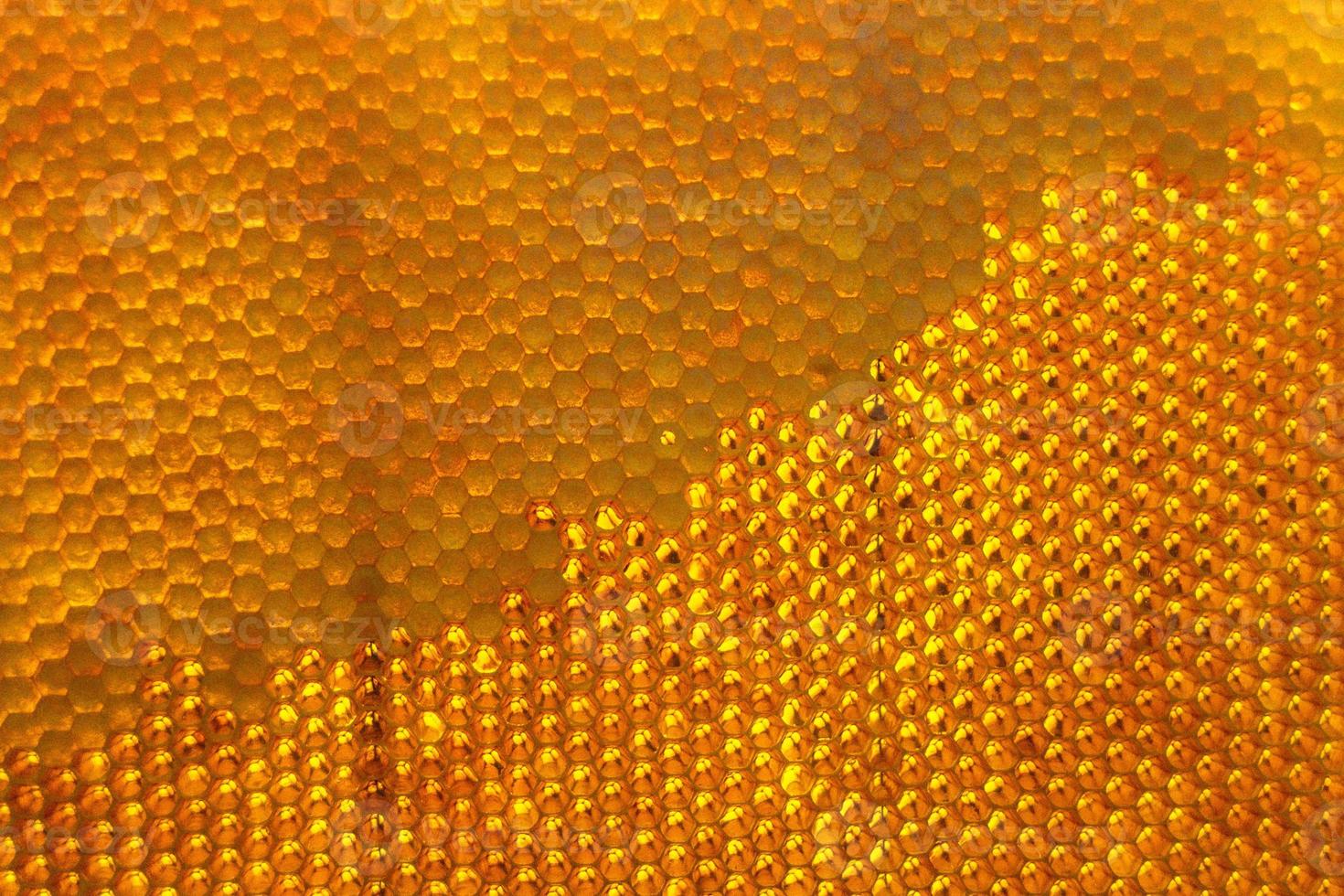 panal de abejas lleno de miel dorada foto