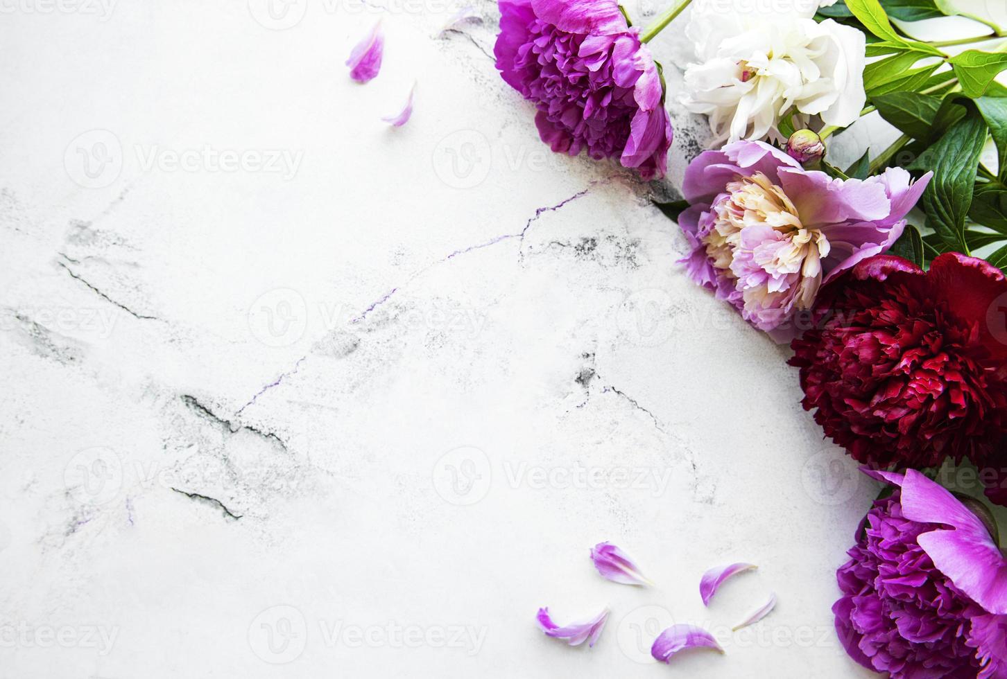 flores de peonía sobre un fondo de mármol foto