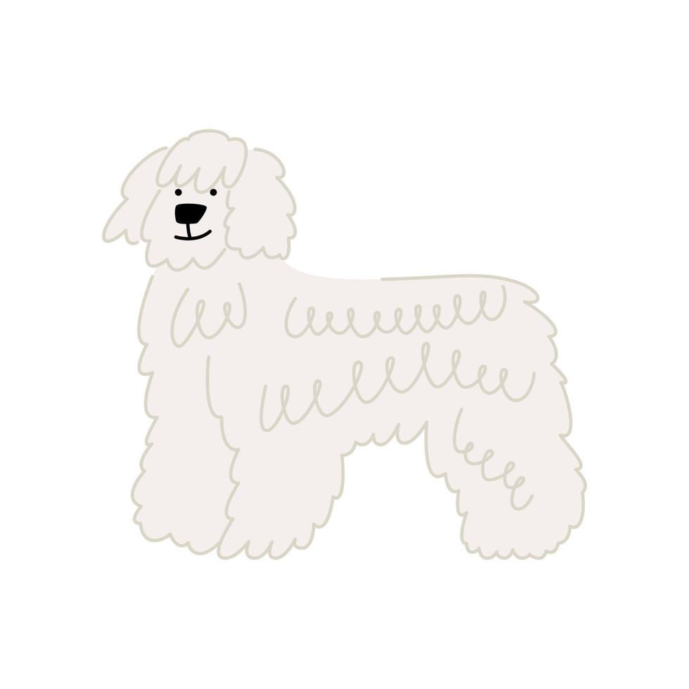 Lindo perro de raza komondor o pastor húngaro aislado sobre fondo blanco. ilustración vectorial de un piso para mascotas vector