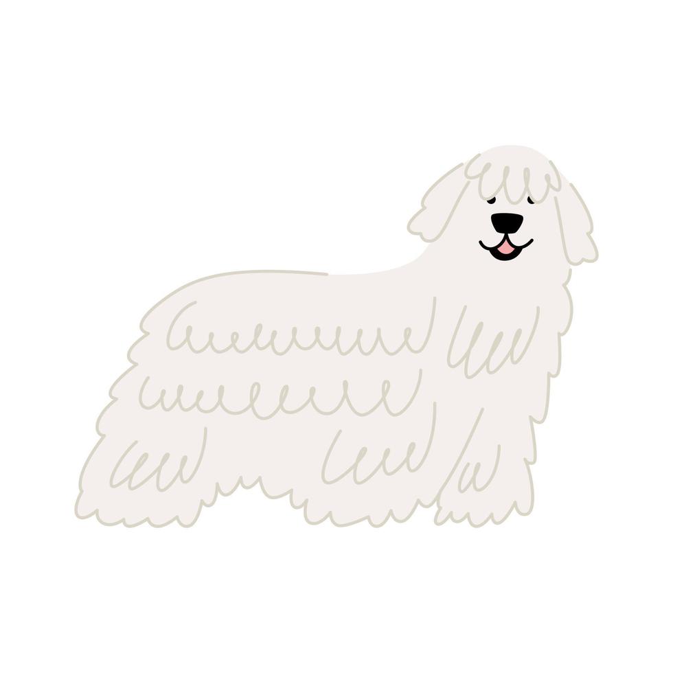 Cute dog of breed Komondor or Hungarian Shepherd isolated on white background. Vector illustration of a pet flat