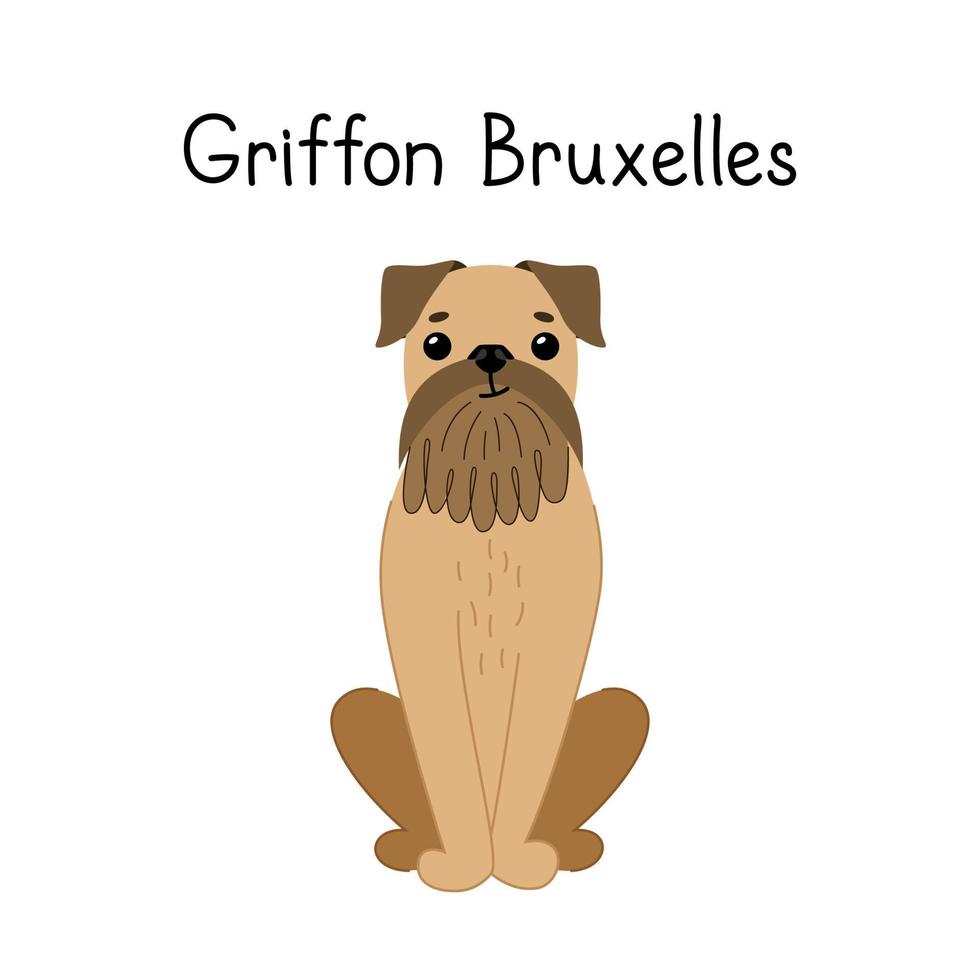 Cute Griffon of Brussels with signature. Vector illustration on white background.
