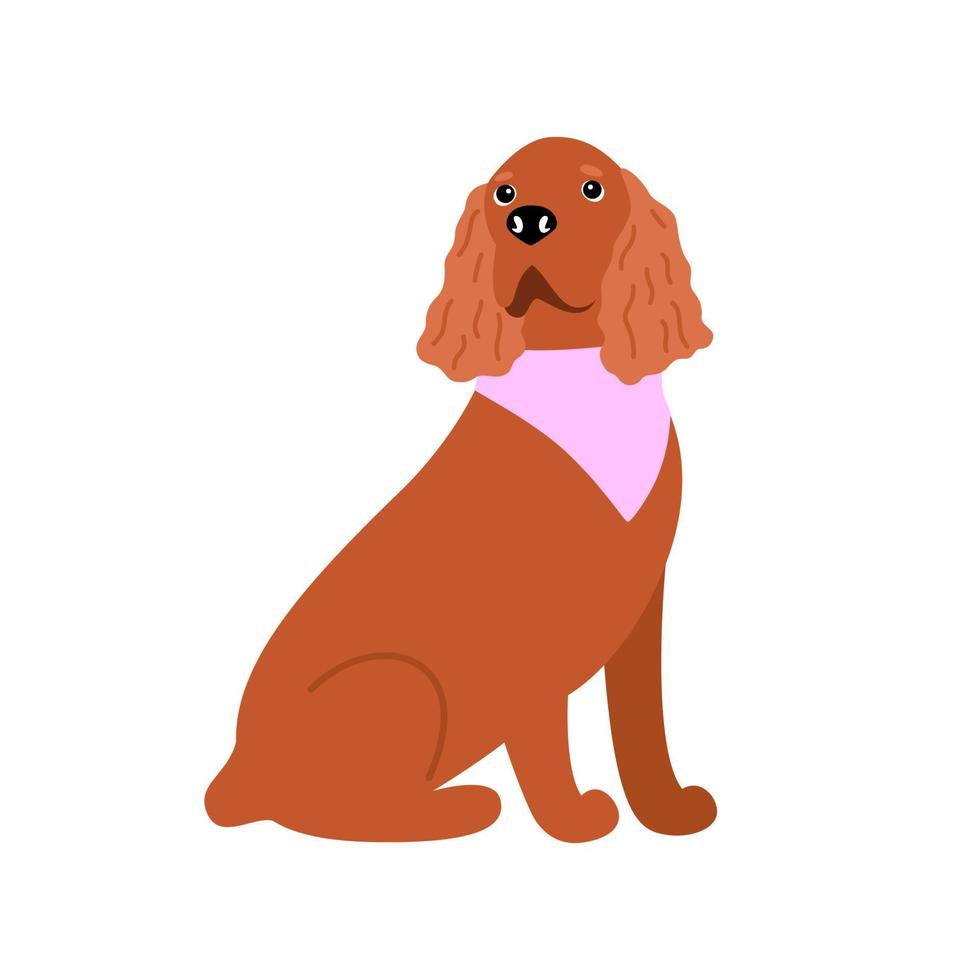 Raza de perro cocker spaniel americano o inglés canino sobre un fondo blanco aislado. ilustración vectorial de un piso para mascotas vector