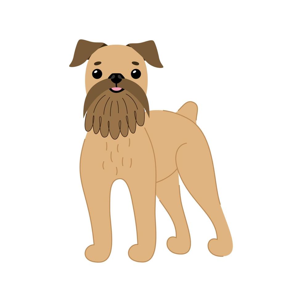raza de perro lindo grifo bruselas marrón. ilustración vectorial de animal de compañía vector