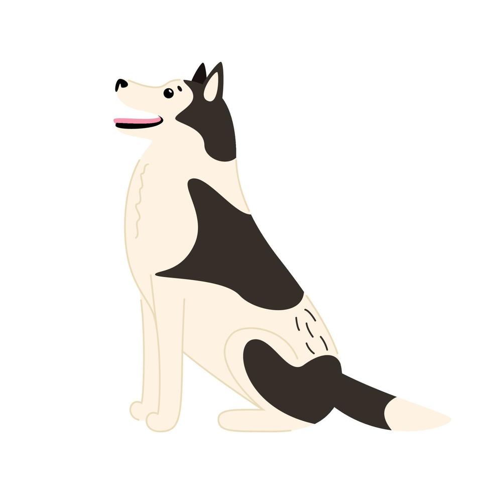 lindo sonriente husky siberiano se encuentra aislado en un fondo blanco con una firma. vector ilustración plana