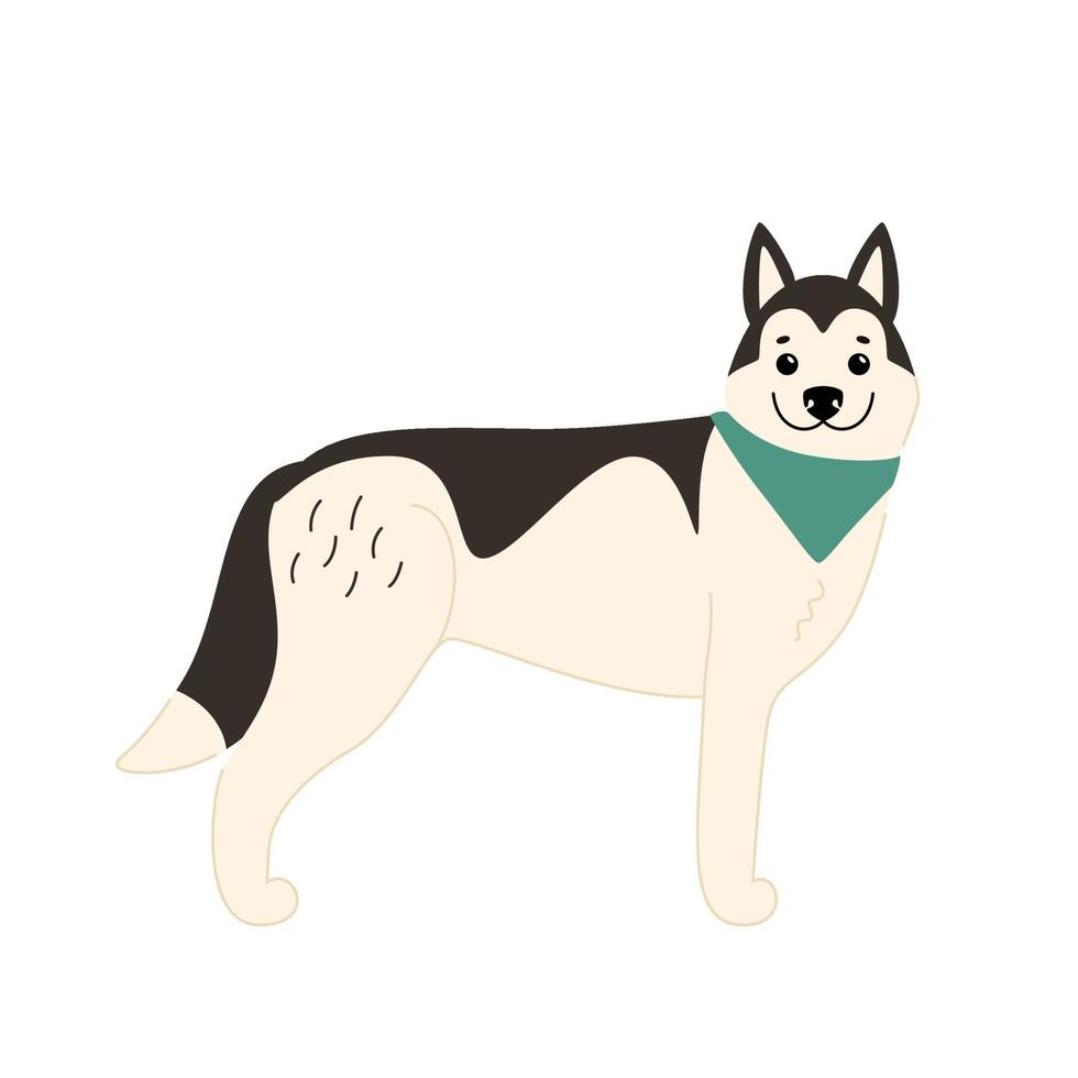 Cute smiling Siberian husky stands isolated on a white background with a signature. Vector flat illustration