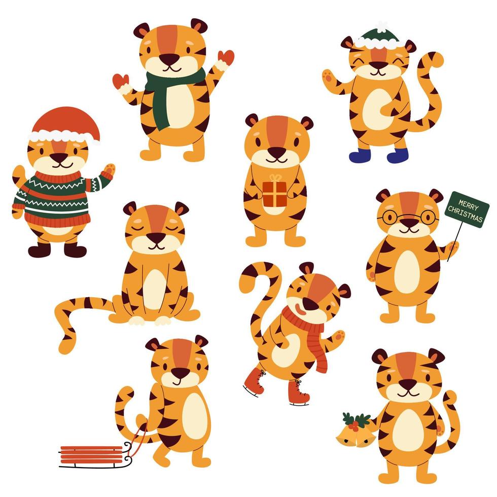Vector set of cartoon winter tigers in different poses isolated on white background. Year of the Tiger and Happy New Year.