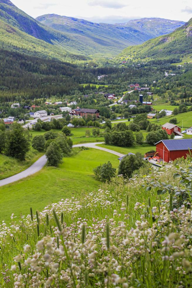 Panorama Norway, Hemsedal Mountains, red farmhouses, green meadows, Viken, Buskerud. photo