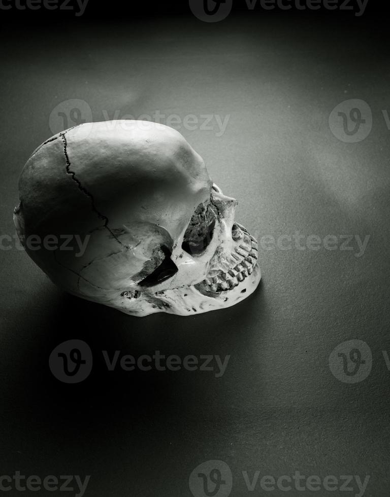 Analyzing of a human skull photo