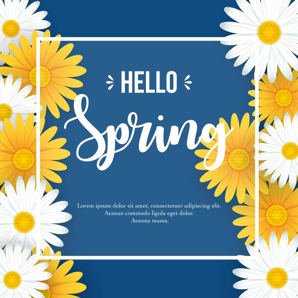 Hello Spring background with beautiful white and yellow flowers vector