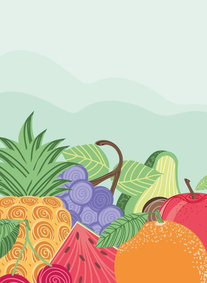 tropical fruits food vector