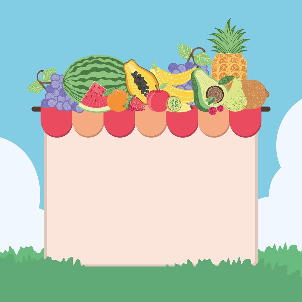 fruits food market vector
