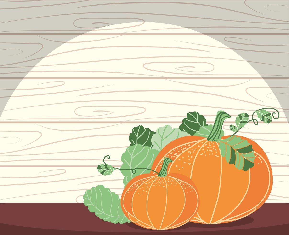 pumpkins and leaves vector