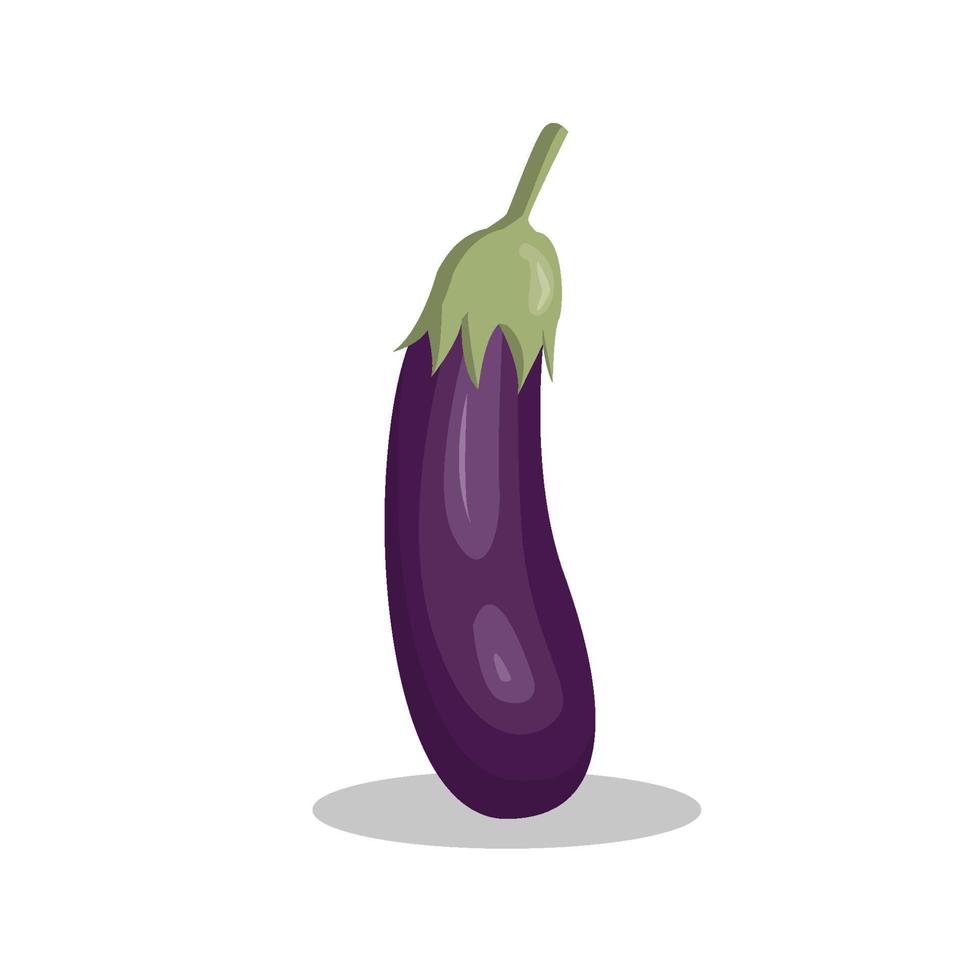 eggplant illustration with flat style design on white background, eggplant vector isolated