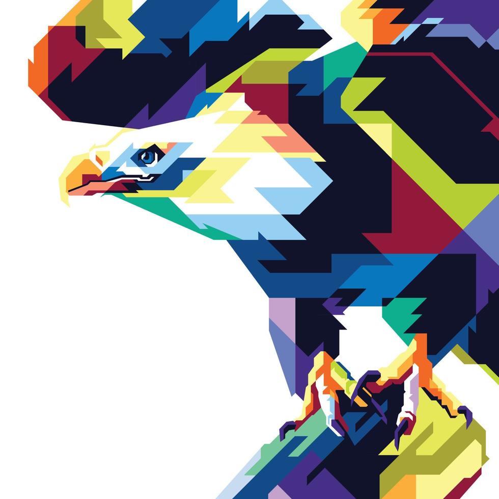 colorful eagle illustration vector