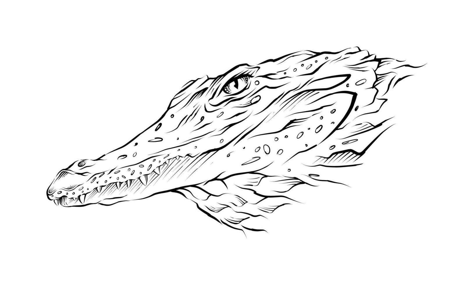 crocodile Head hand drawn illustration vector