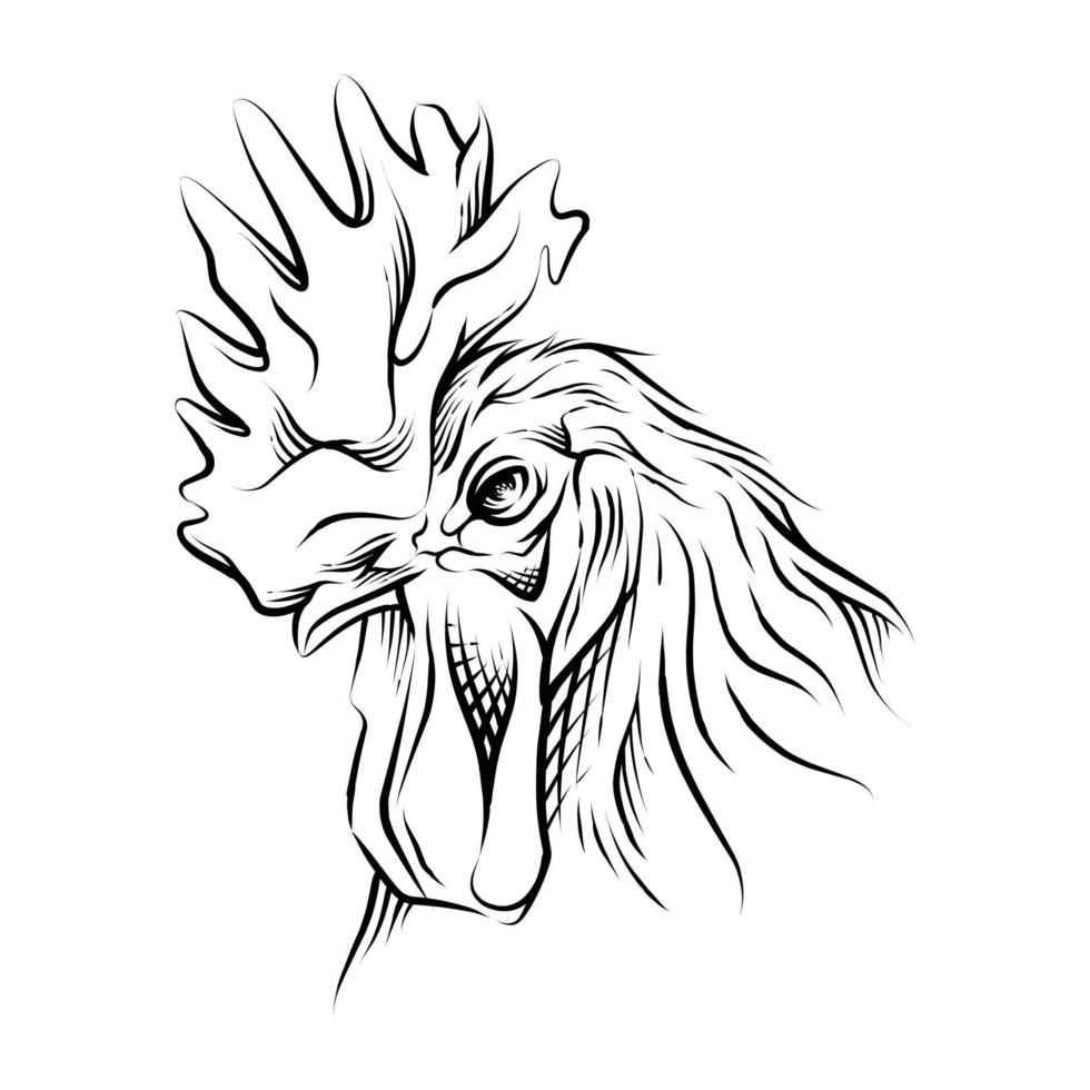 Rooster Head hand drawn illustration vector