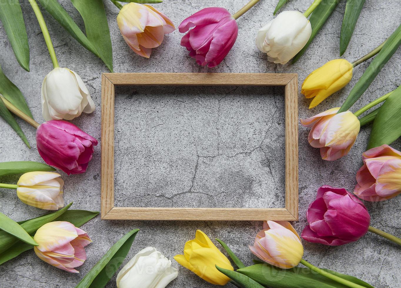 Spring tulips on a concrete background photo