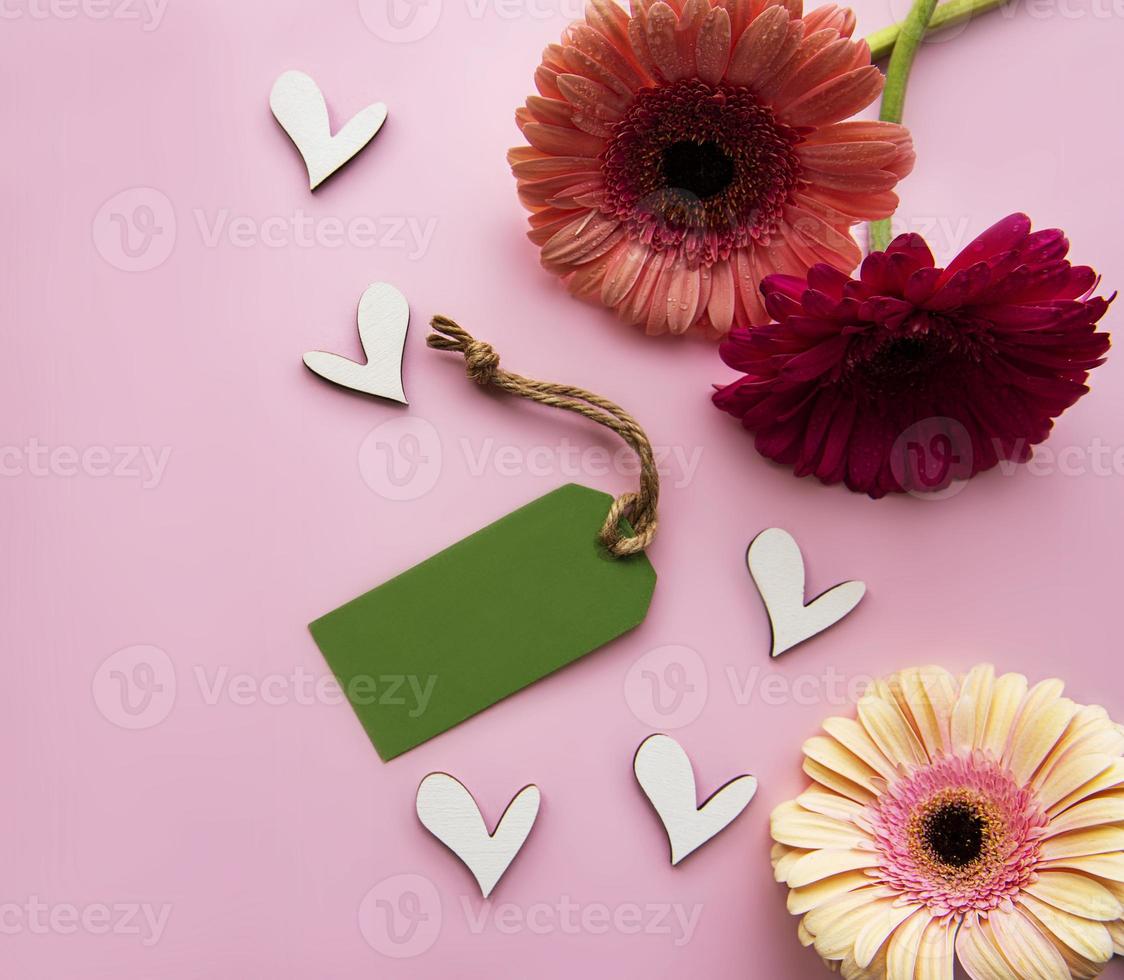 Gerbera flowers on a pink pastel background photo