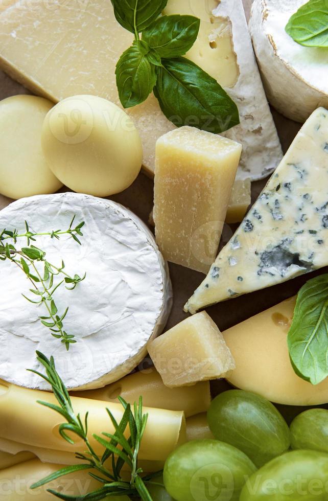 Various types of cheese, basil and grapes photo