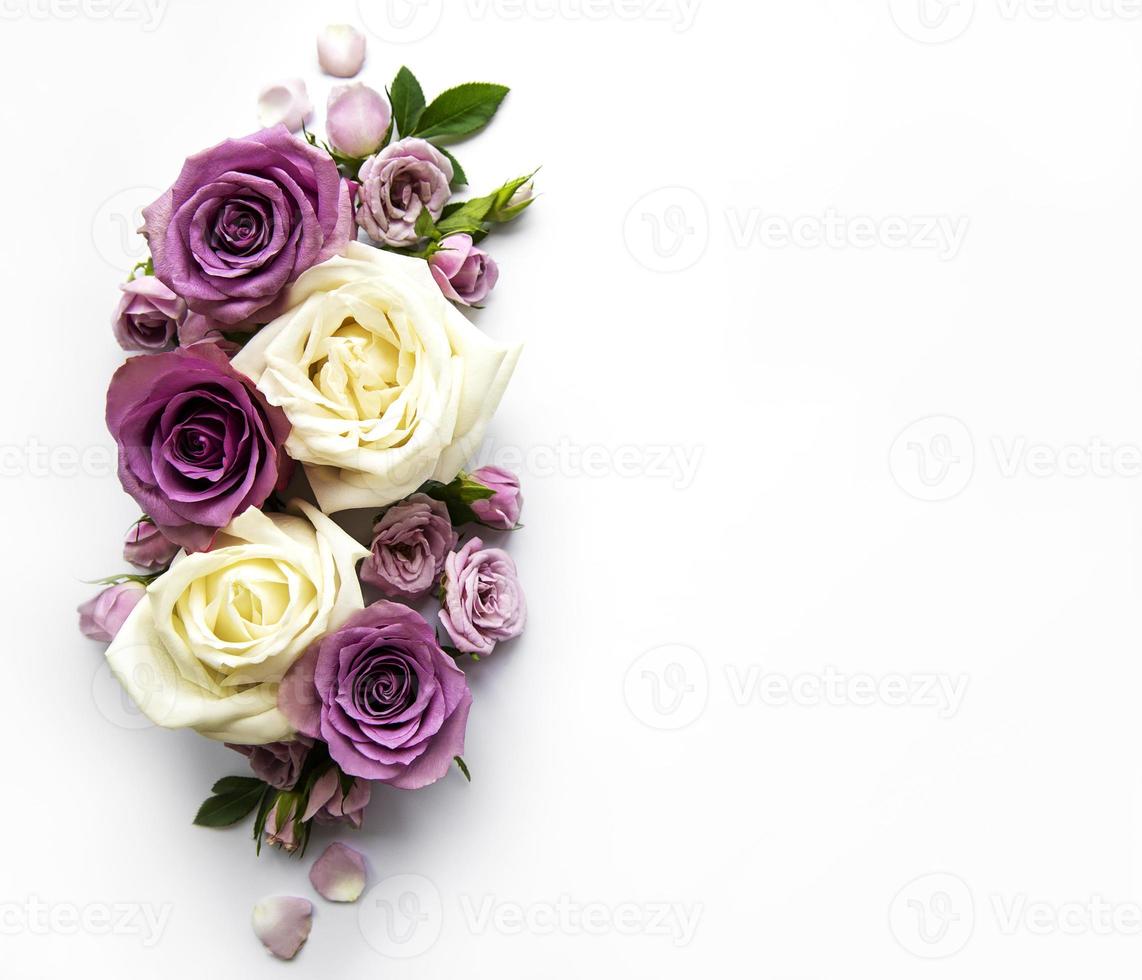 Framework from roses on white background. photo