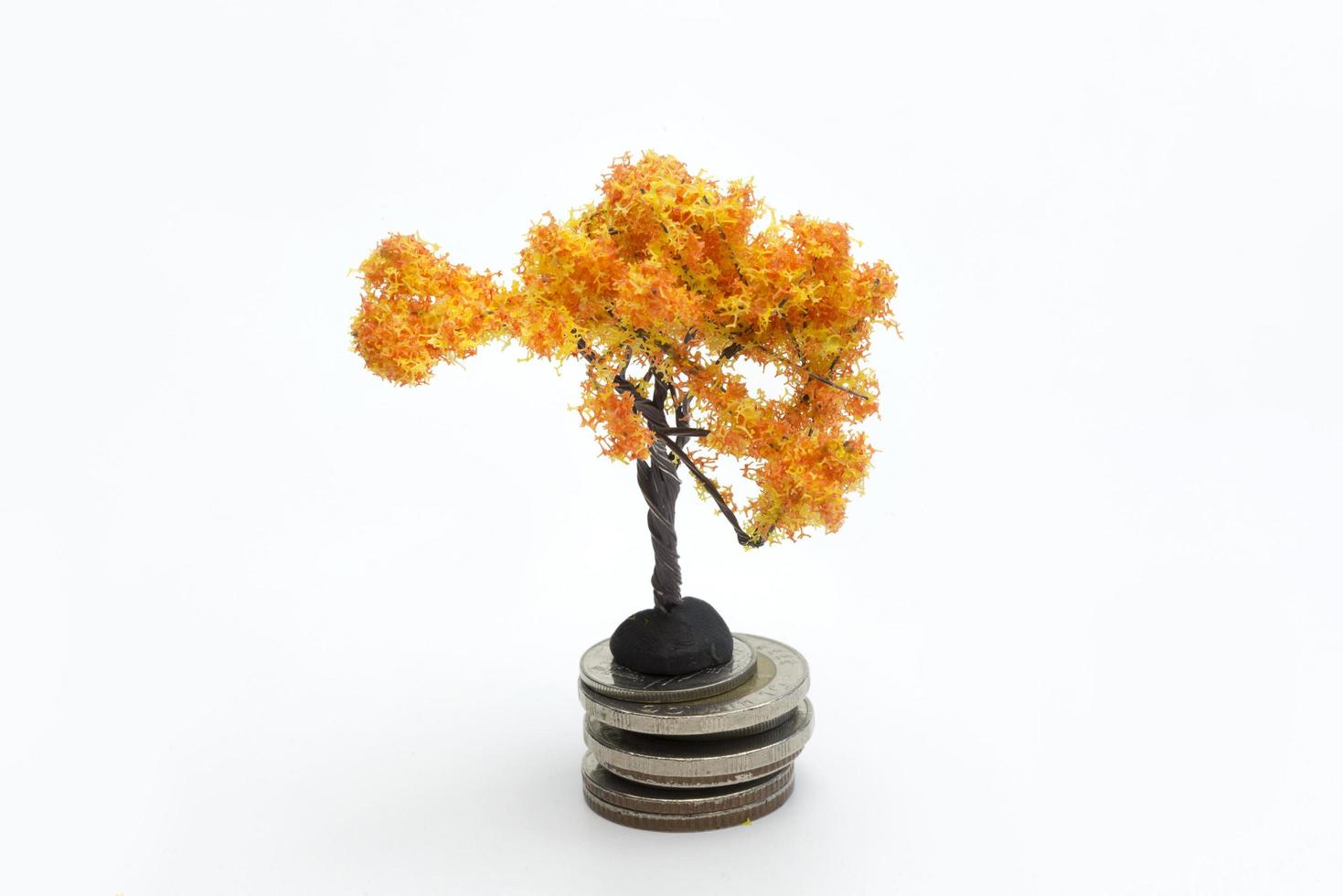 Orange tree on the coins. photo