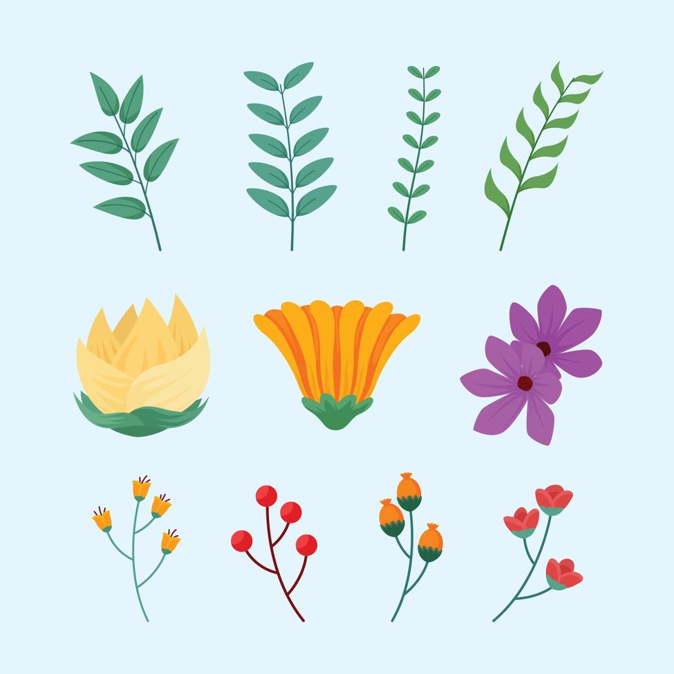 Set of Floral Element vector