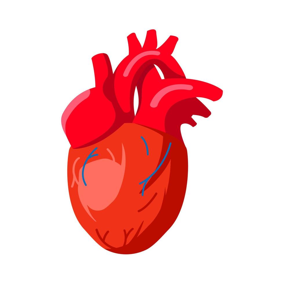 órgano interno, corazón humano diseño plano icono aislado stock vector eps10